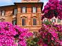 0410 Rome - Spaanse trappen